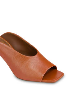 Mule Muse in Capra Photo 4