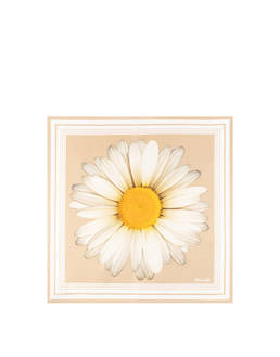 Foulard In Seta Con Stampa margherita over Photo 2