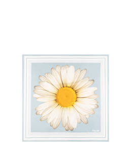 Foulard In Seta Con Stampa margherita over Photo 2