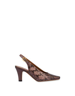 SCARPA Photo 1